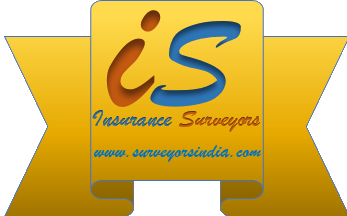 Surveyors India